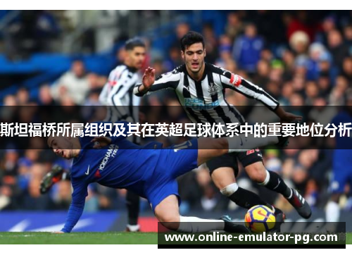 斯坦福桥所属组织及其在英超足球体系中的重要地位分析