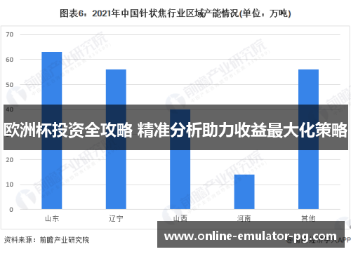 欧洲杯投资全攻略 精准分析助力收益最大化策略